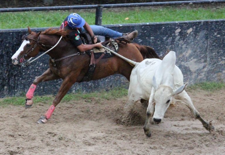 ¿Las corralejas y el coleo quedan prohibidos en Colombia, como las corridas de toros?